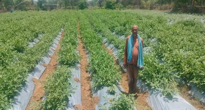 संत गुरू घासीदास बाबा के संदेश से समाज को मिली एकता और मानवता की प्रेरणा– उप मुख्यमंत्री श्री विजय शर्मा